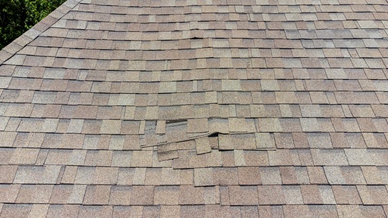 Roof Inspection for Damage